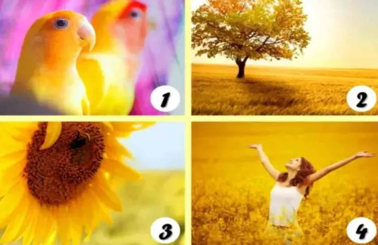 El test del color amarillo: ¿qué imagen elegiste y qué dice esto sobre vos?