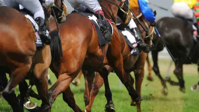 Fractura en el hipódromo: condenan a pagar $11 millones a una mujer por un accidente en la confitería