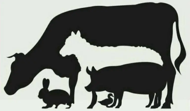 ¿Cuántos animales ves?: el test visual que pone a prueba tu intuición