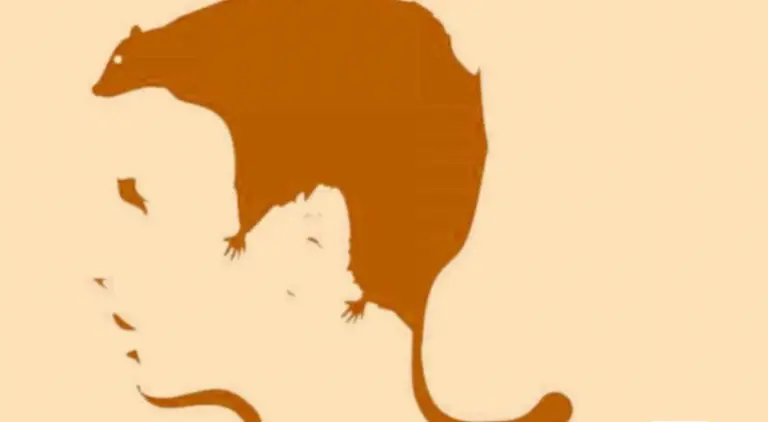 Reto viral: lo que ves en esta imagen te dirá cuáles son los orígenes de tus problemas amorosos