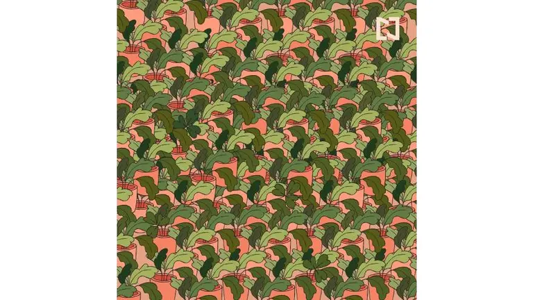 Desafío visual: mirá la imagen y encontrá los 3 tréboles entre las plantas