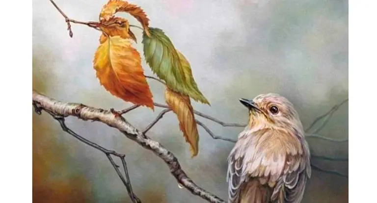 Test: conocé tu virtud más destacada mirando esta imagen