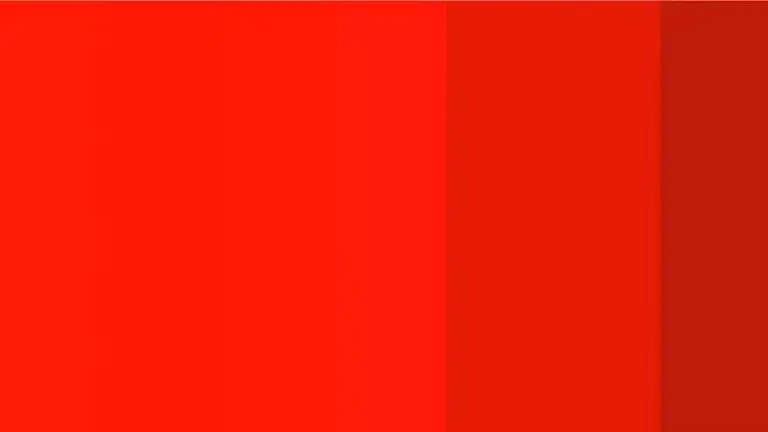 Nuevo reto visual que es furor: ¿cuántos colores ves en esta imagen?