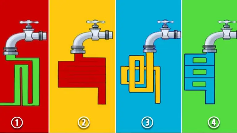 ¿Cuál es tu tipo de inteligencia? Este test te responde
