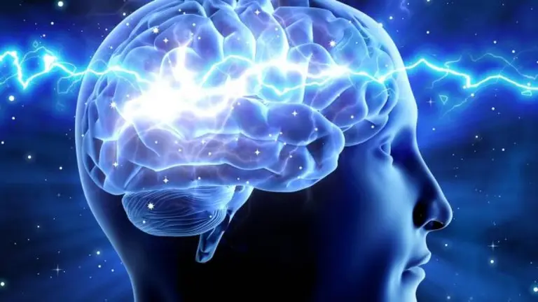 Cómo funciona la memoria humana: así se forman y almacenan los recuerdos