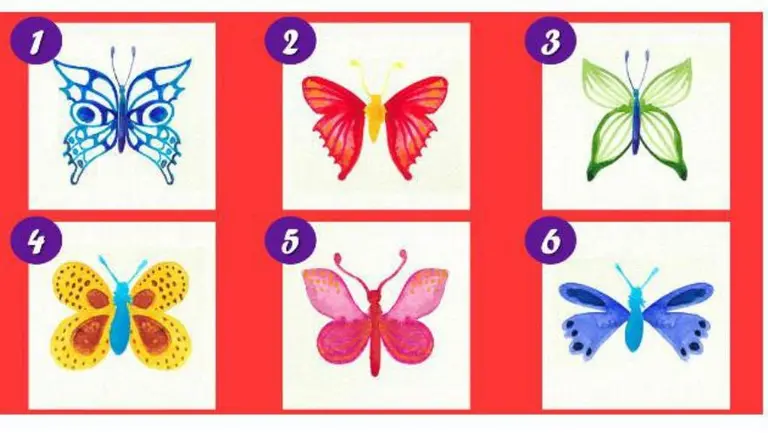 Test: Elegí una mariposa y descubrí qué revela de tu personalidad