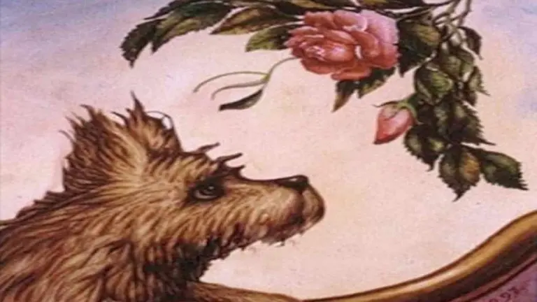 ¿Rosa, perro o mujer? El reto visual que revela qué tan sensible sos
