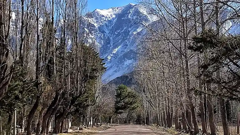 Confirmado: no harán cuarentena quienes lleguen a Mendoza