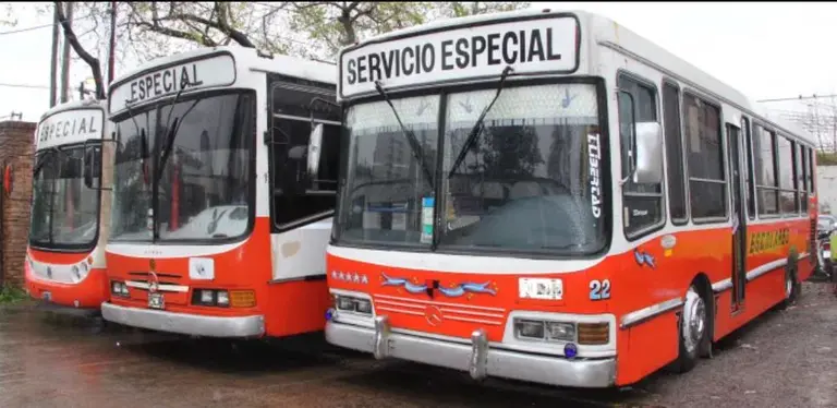 El drama del transporte escolar: casi no hay demanda, estallaron costos y se achicó más del 50% el total de unidades habilitadas
