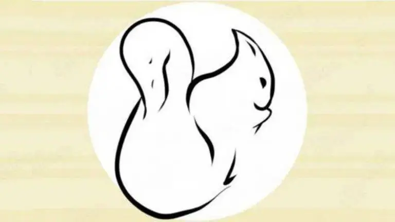 ¿Qué aspecto de tu carácter es más fuerte? Este test puede darte una respuesta