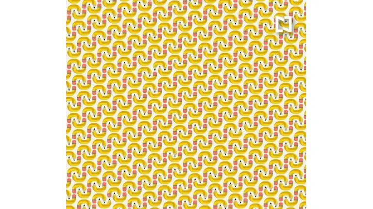 Desafío visual: ¿podés encontrar los tres lápices con dos puntas en menos de 60 segundos?
