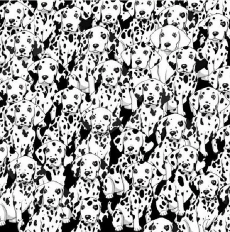 Reto visual: ¿Dónde está el perro sin manchas?