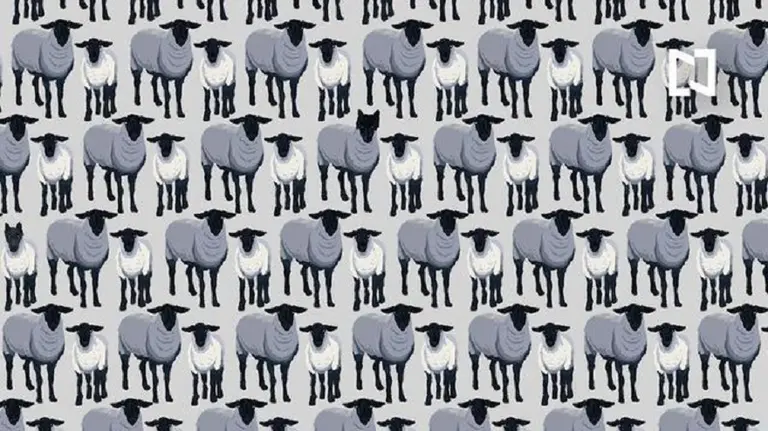 Encontrar a los 6 lobos disfrazados de ovejas: el desafío que pone a prueba tu agudeza visual