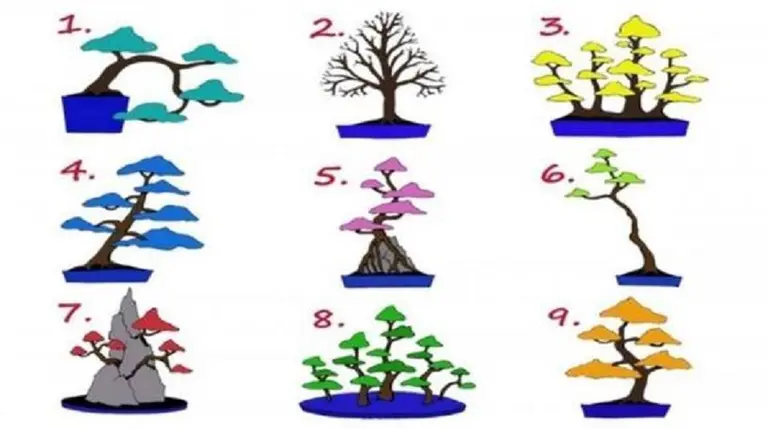 El árbol que elijas determina el trabajo ideal para vos
