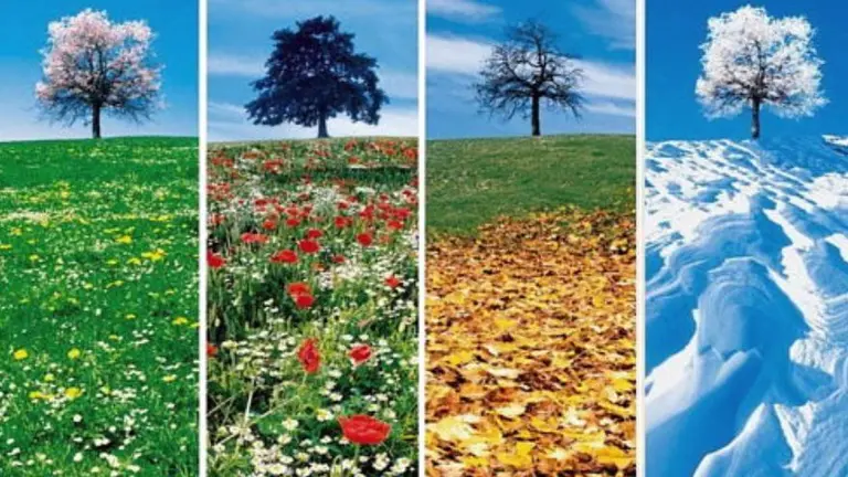 ¿Qué estación del año preferís? Tu elección dice mucho de tu personalidad