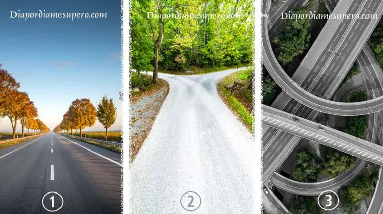 Test: Descubrí cuál camino debes tomar en tu vida