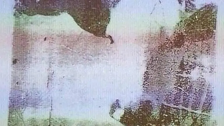 Reto visual: ¿sos capaz de ver lo que hay en esta imagen?