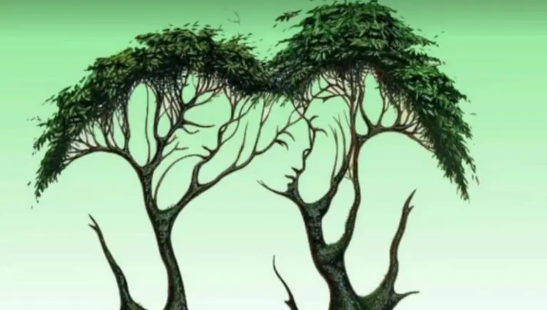 ¿Cuántas caras ves en la imagen?: el test que prueba tu concentración