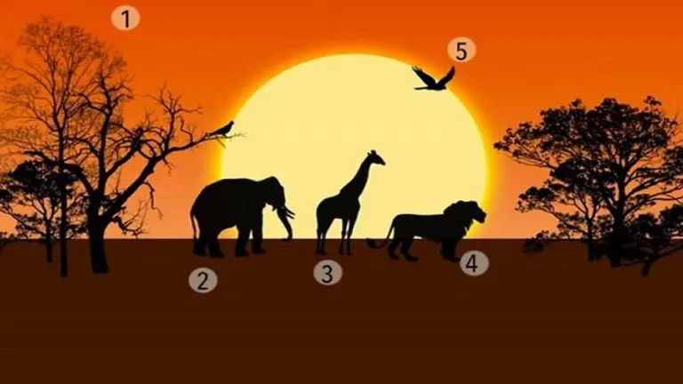 ¿Qué te atrae de la selva?: este test de personalidad revela tu mayor dificultad en la vida