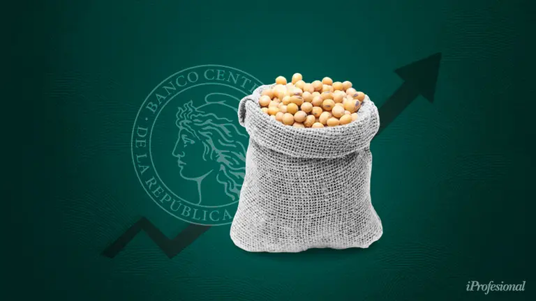 ¿La solución en los silobolsas?: el Gobierno piensa en un pacto para que productores apuren liquidación de u$s6.600 millones