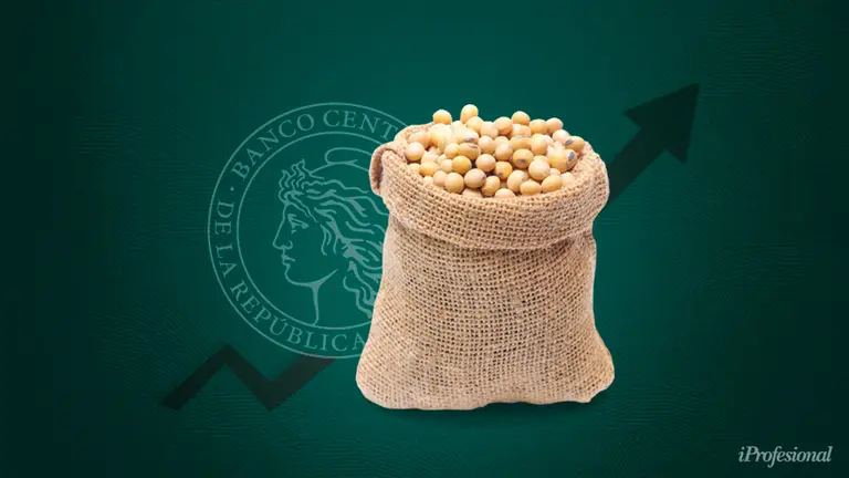 Así podés invertir en el boom de la soja: este instrumento tuvo un rendimiento anual del 76%