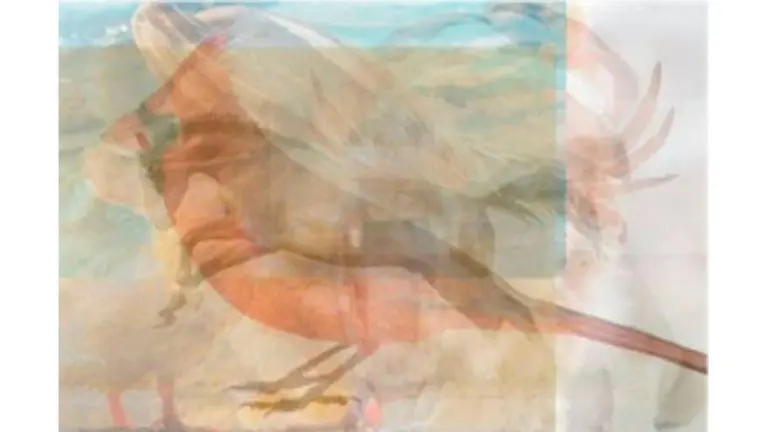 Test: el animal que veas primero puede revelar datos ocultos de tu carácter