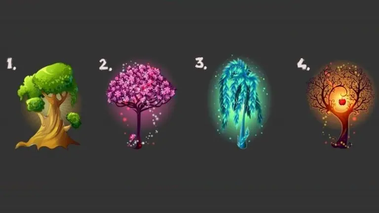 ¿Hacia dónde vas en la vida? El test de personalidad que revoluciona las redes sociales