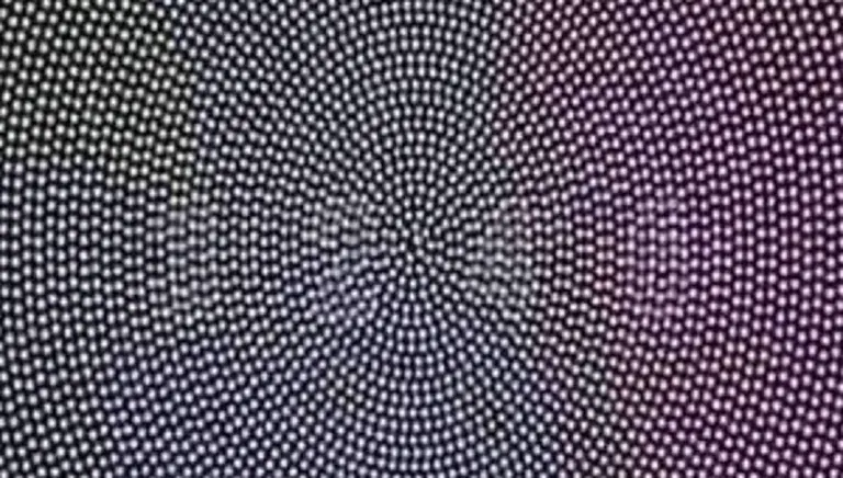 ¿Qué número hay en esta imagen?: el reto viral que pocos aciertan