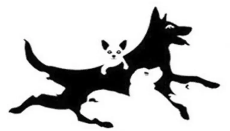 El test de los perros: respondé cuántos hay y conocerás tu edad mental