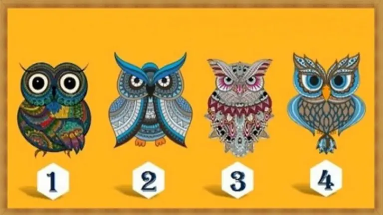 ¿Qué búho elegís?: el reto viral que te dirá algo nuevo sobre tu personalidad