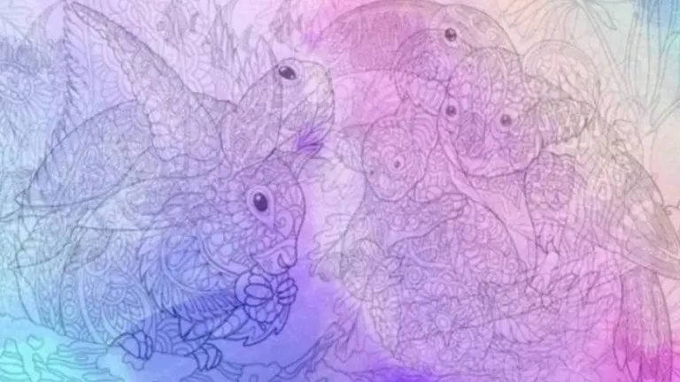 ¿Qué animal ves primero?: el test que revela algo desconocido sobre vos