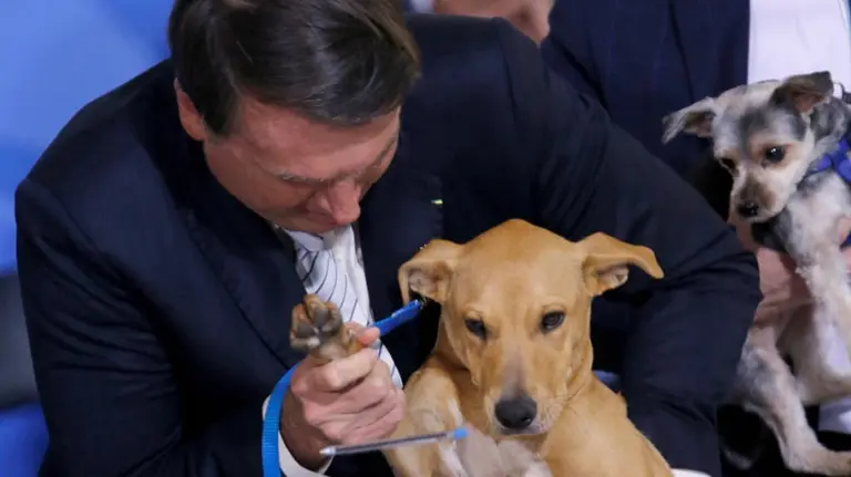 Video: Bolsonaro hizo "firmar" a un perro la ley contra el maltrato animal en Brasil