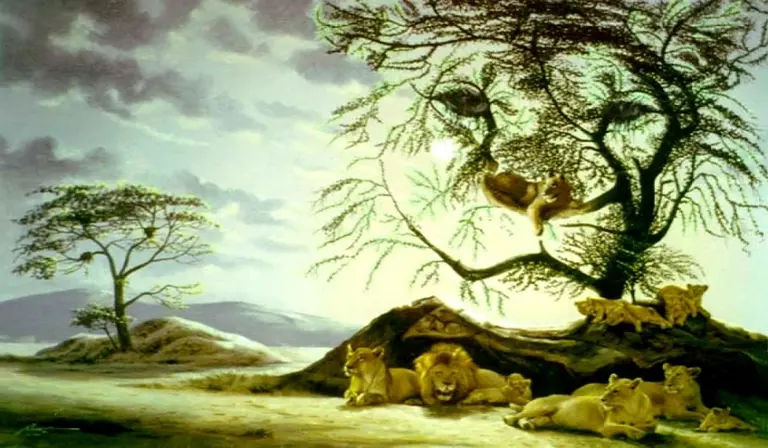 La cantidad de leones que veas revelará tu edad mental