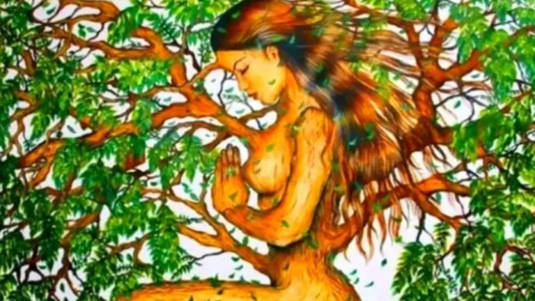 ¿Sos tímido o extrovertido?: este test revela tu comportamiento social