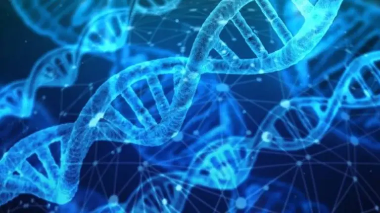 Estudio: genes neandertales podrían estar detrás de casos graves de coronavirus