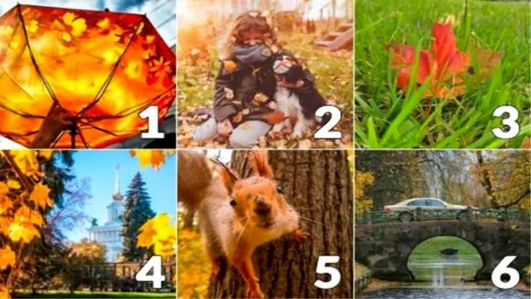 ¿Qué te espera en el futuro cercano? Este test psicológico te lo cuenta