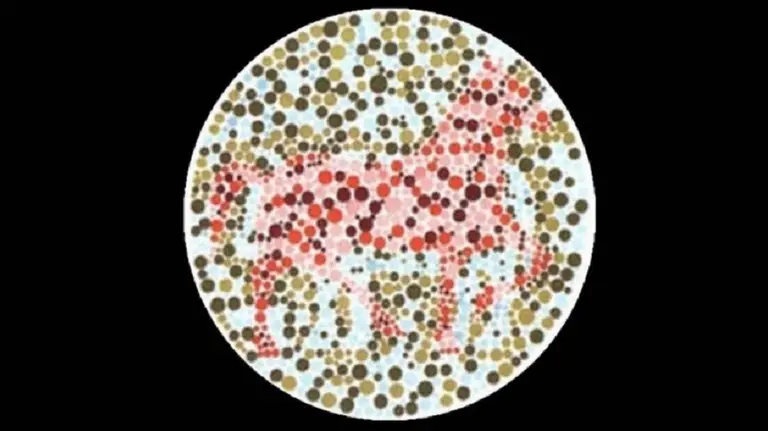 Tres figuras: el test psicológico que te dará la oportunidad de ver más allá