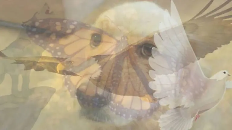 Test: el primer animal que veas reflejará cómo sos en verdad