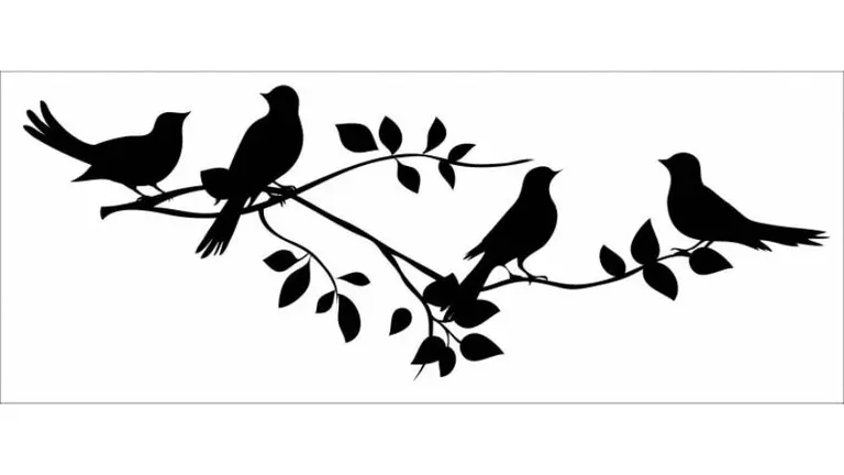 ¿Qué pájaro elegís?: este test revelará tu propósito en la vida