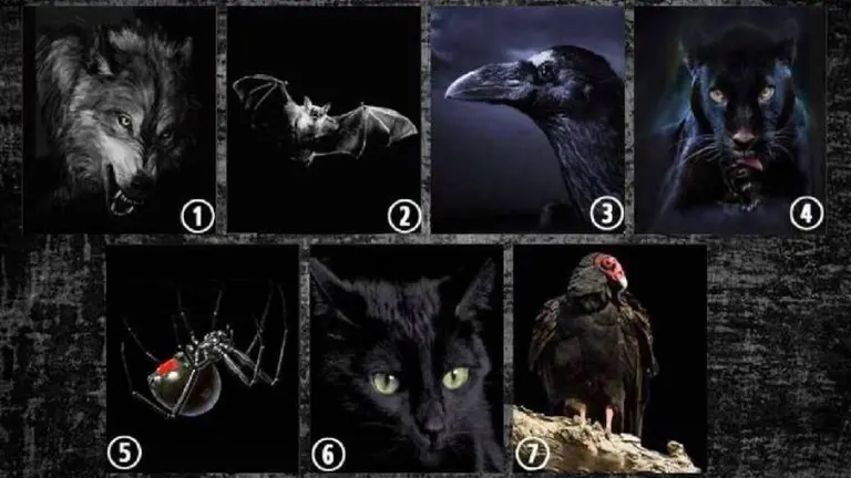 ¿Qué animal elegís?: tu respuesta revela algo oculto de tu personalidad