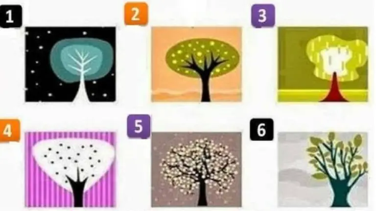 Test del árbol: enterate de tus rasgos ocultos, esos que ni vos conocés