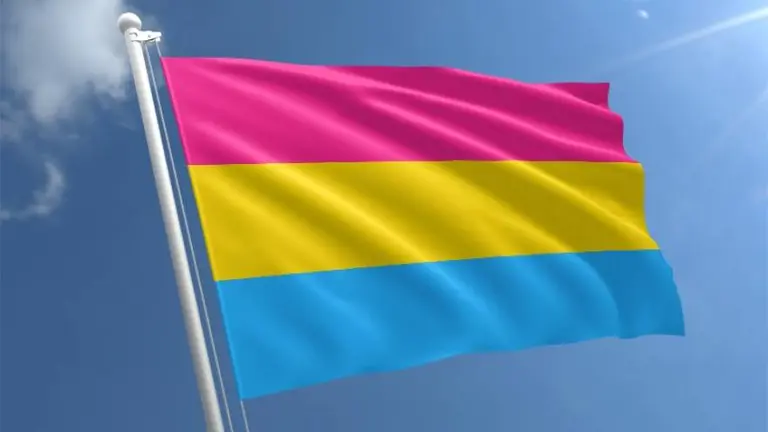 ¿Qué significa ser pansexual y cómo se diferencia de otras orientaciones sexuales?