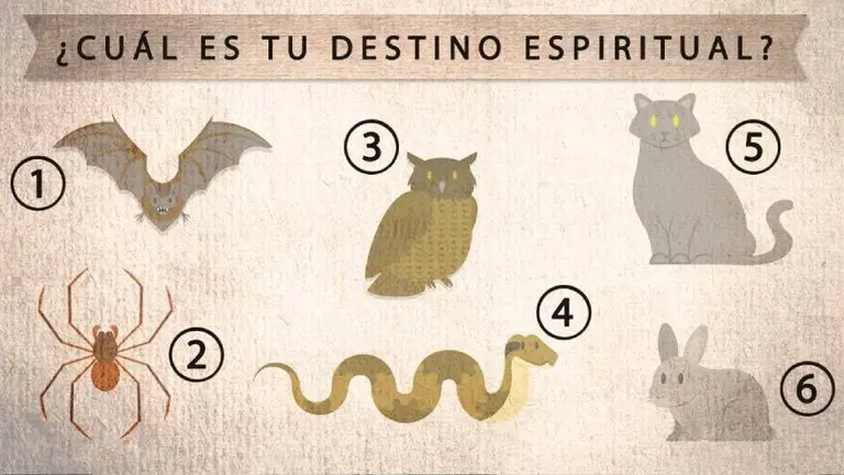 ¿Querés conocer tu destino espiritual? Elegí un animal y leé los resultados de este test