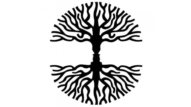 Test del árbol: ¿qué tipo de energía tenés en este momento de tu vida?