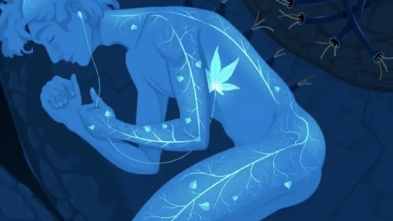 Test: elegí uno de los símbolos y descubrí la esencia (secreta) de tu alma