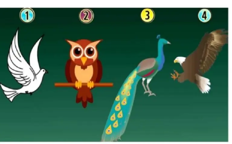 Test: descubrí tu verdadera naturaleza según el pájaro que elijas