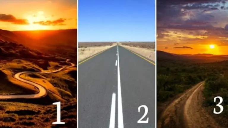 ¿Qué camino elegís?: con este test vas a conocer aspectos muy íntimos de tu personalidad