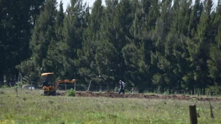 Usurpaciones: San Vicente, a un paso de convertirse en Guernica