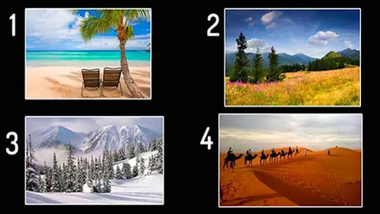 ¿Qué paisaje te gusta más? Este test revela aspectos ocultos de tu personalidad