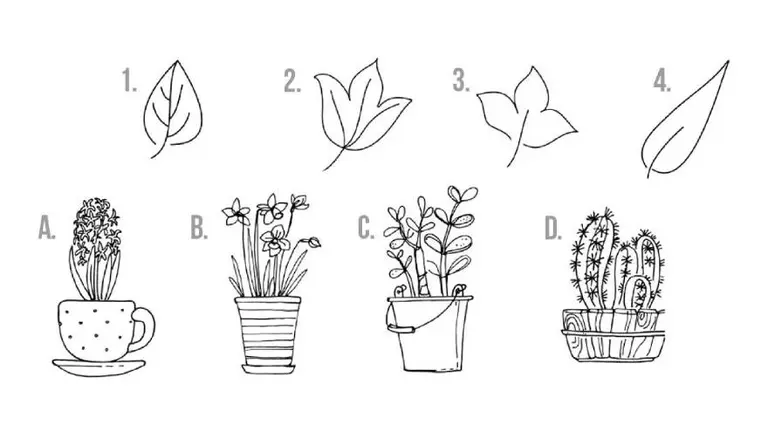 ¿Cómo será tu semana? Elegí un símbolo de cada grupo y descubrí la respuesta